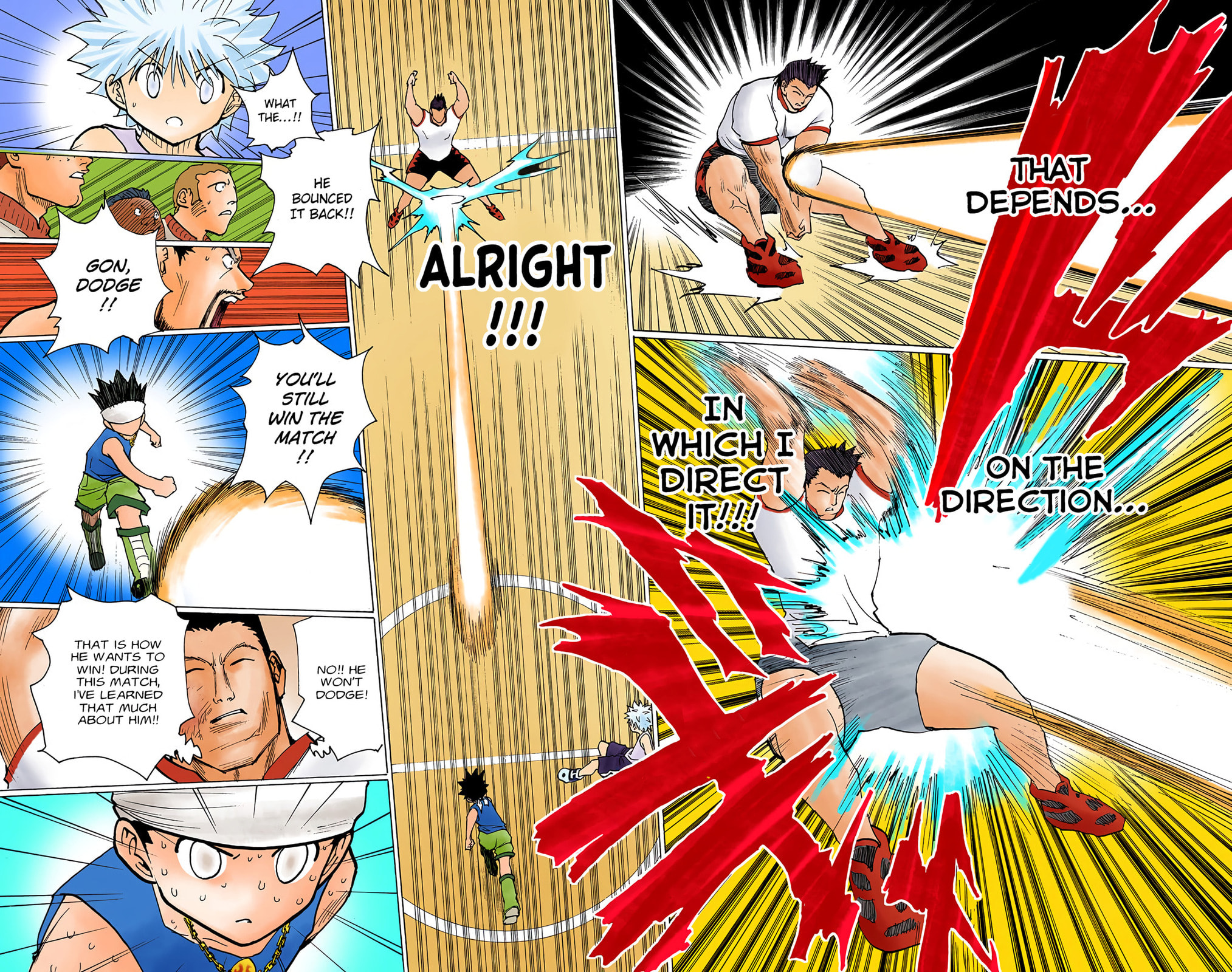 Hunter x Hunter Colored Manga