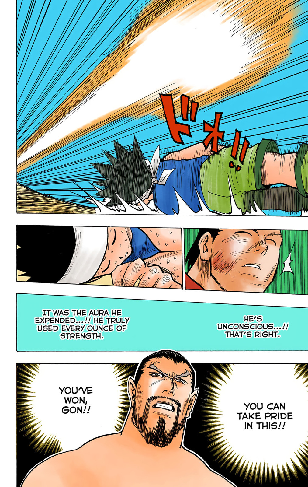 Hunter x Hunter Colored Manga