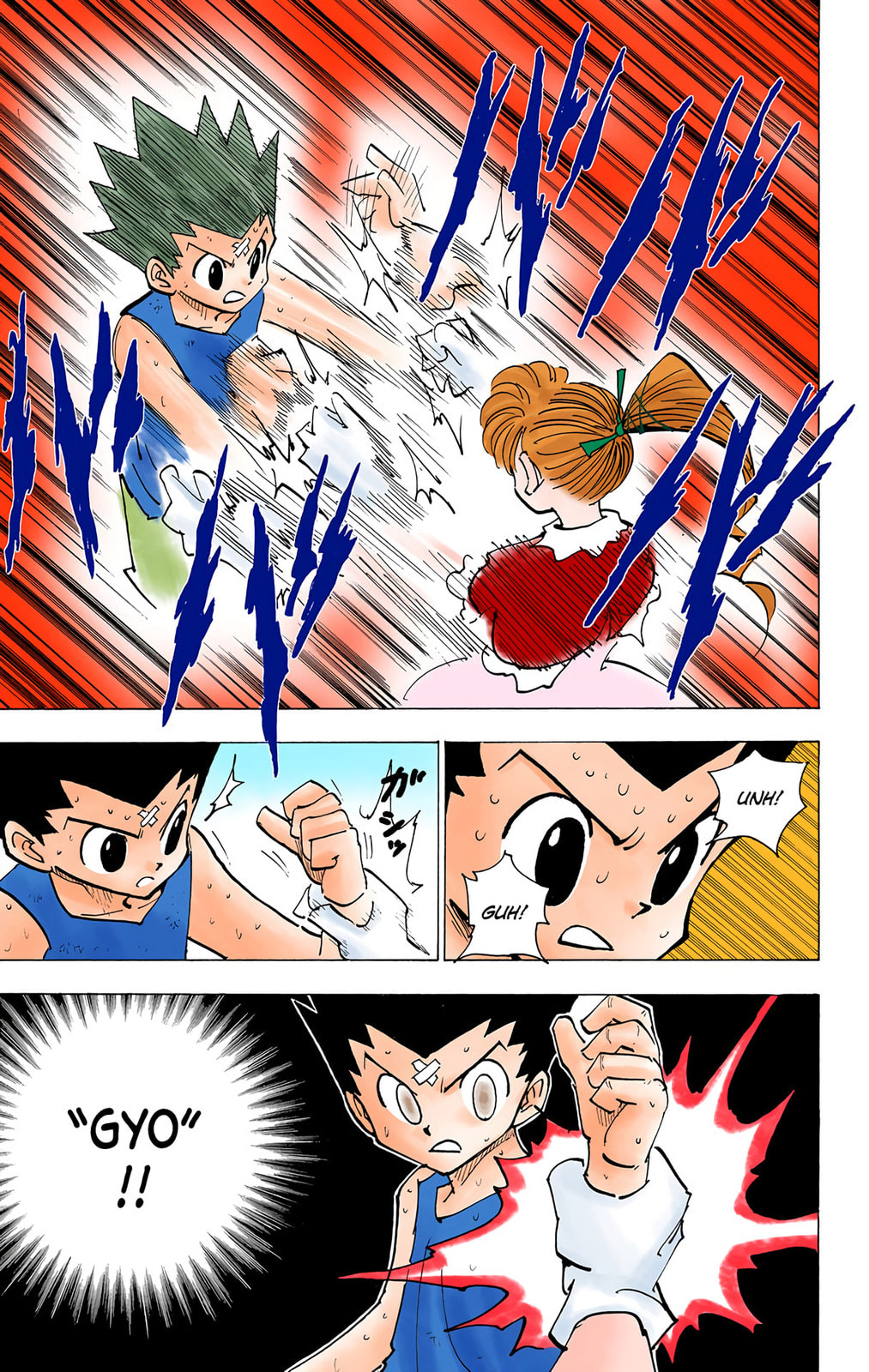 Hunter x Hunter Colored Manga