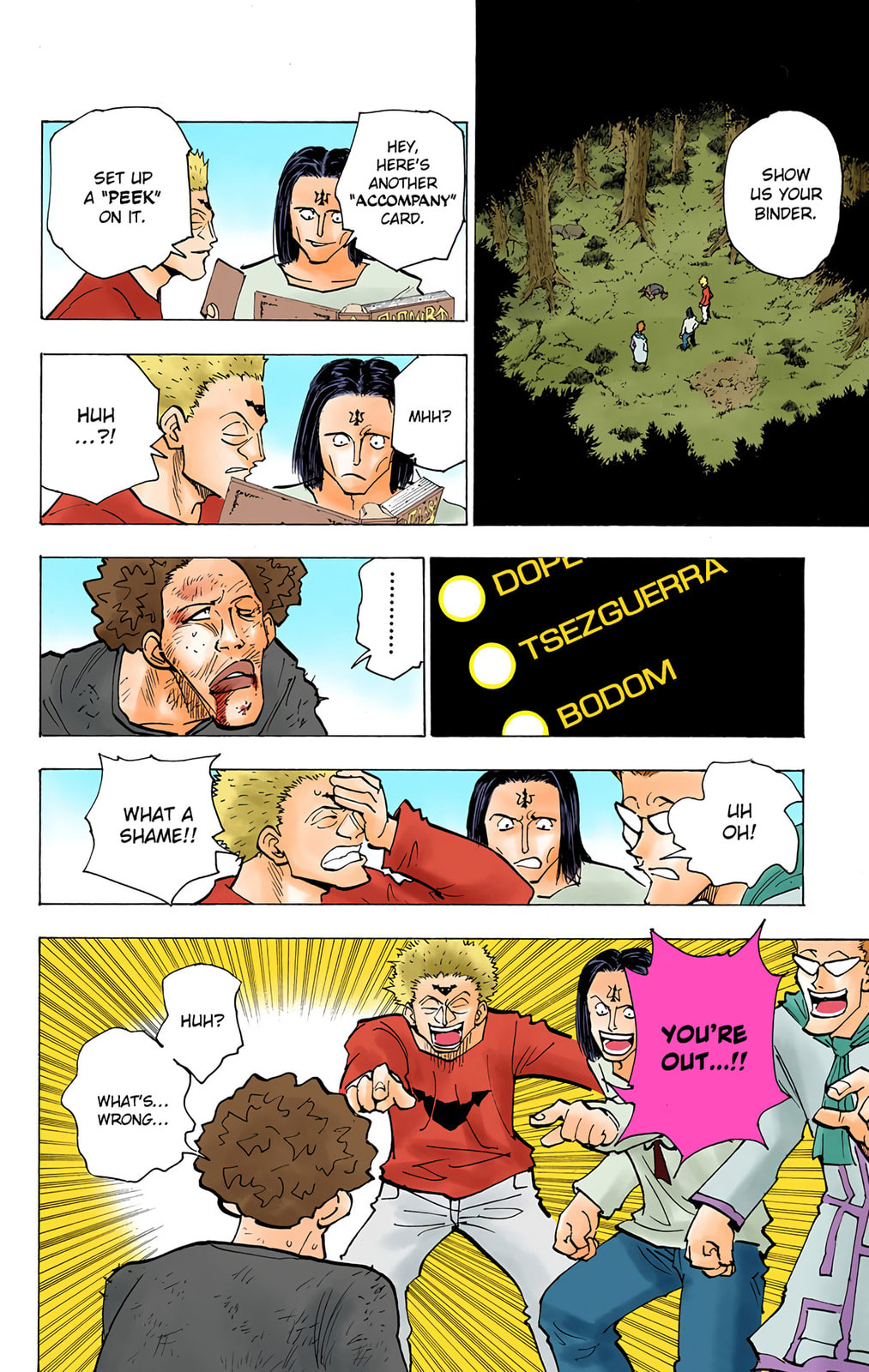 Hunter x Hunter Colored Manga