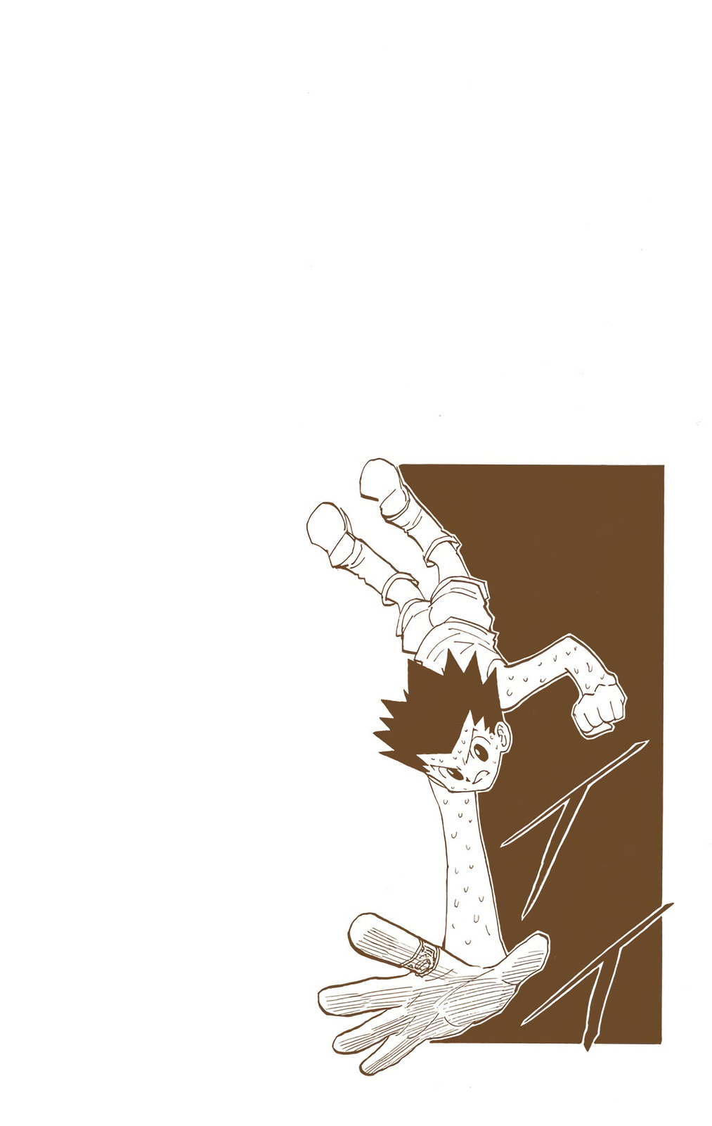 Hunter x Hunter Colored Manga