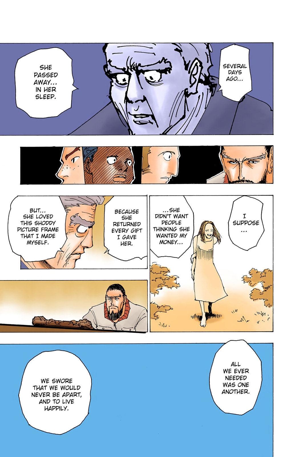 Hunter x Hunter Colored Manga