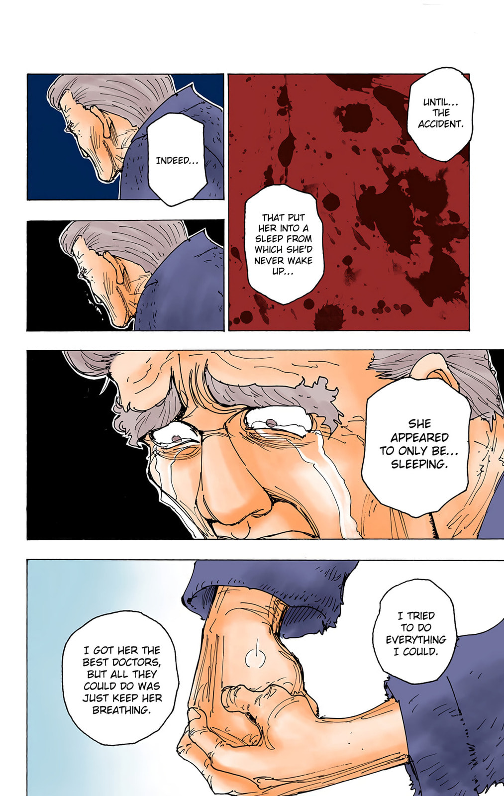 Hunter x Hunter Colored Manga