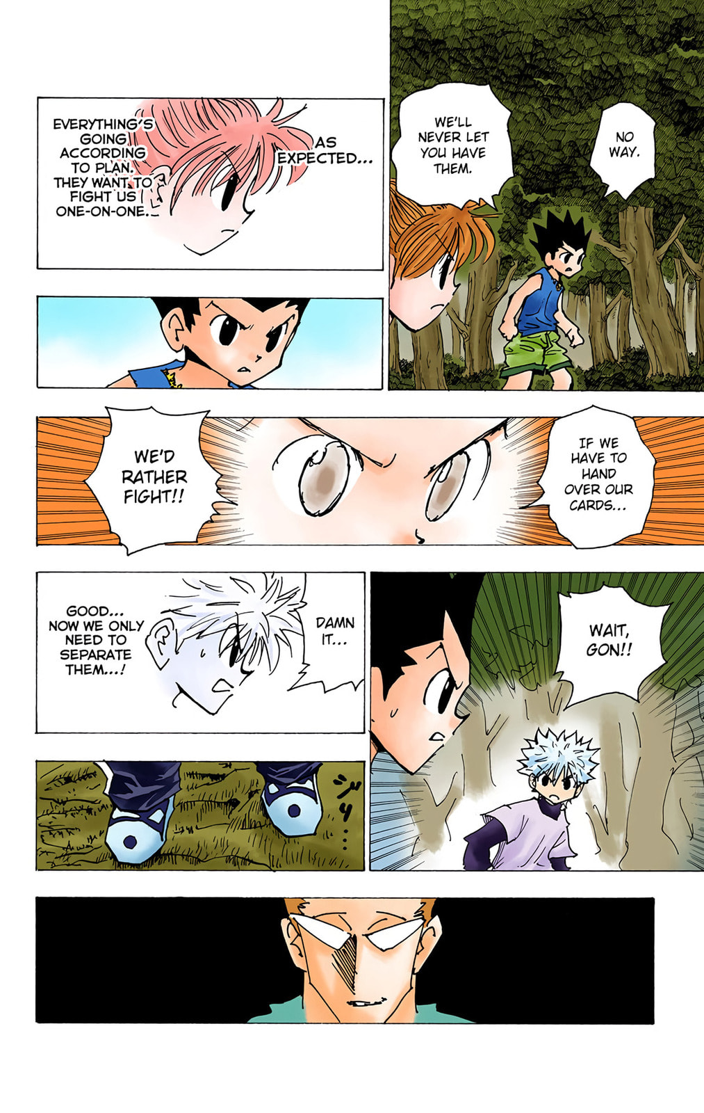 Hunter x Hunter Colored Manga