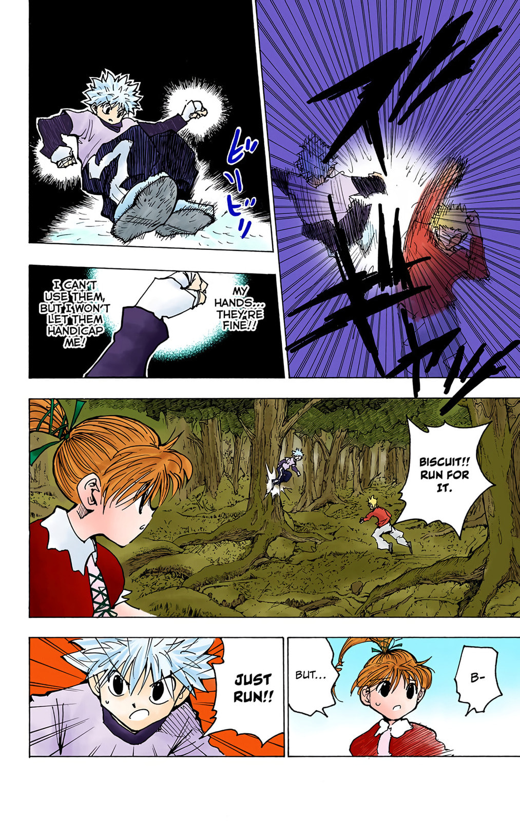 Hunter x Hunter Colored Manga