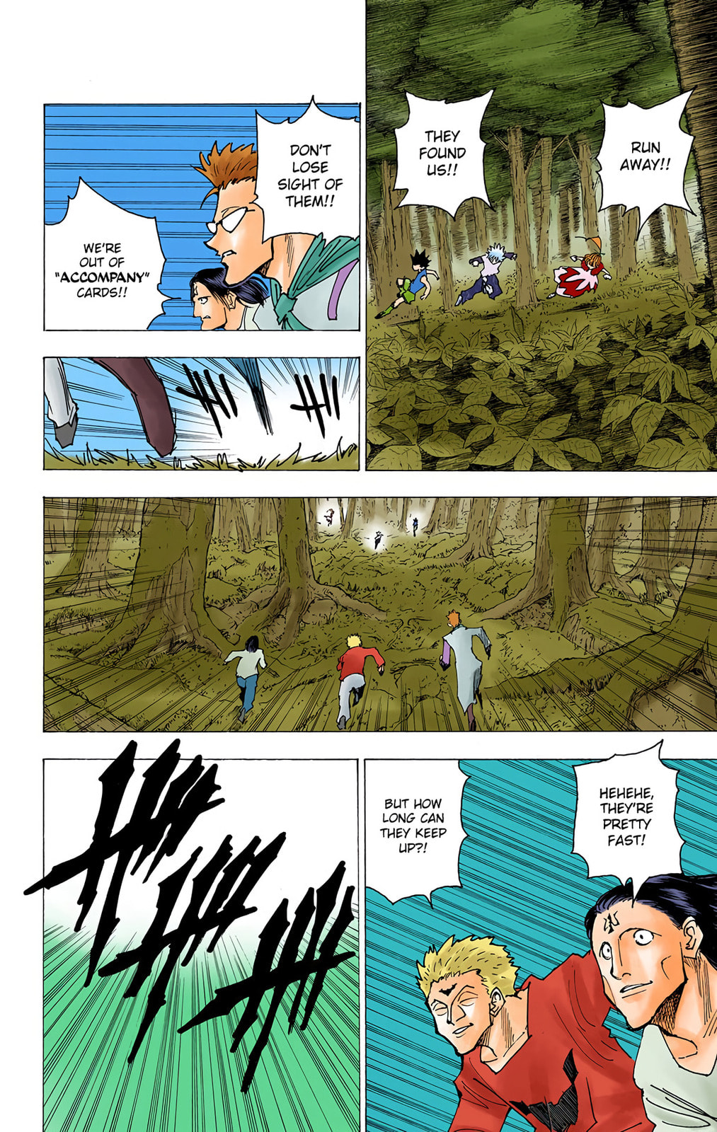 Hunter x Hunter Colored Manga