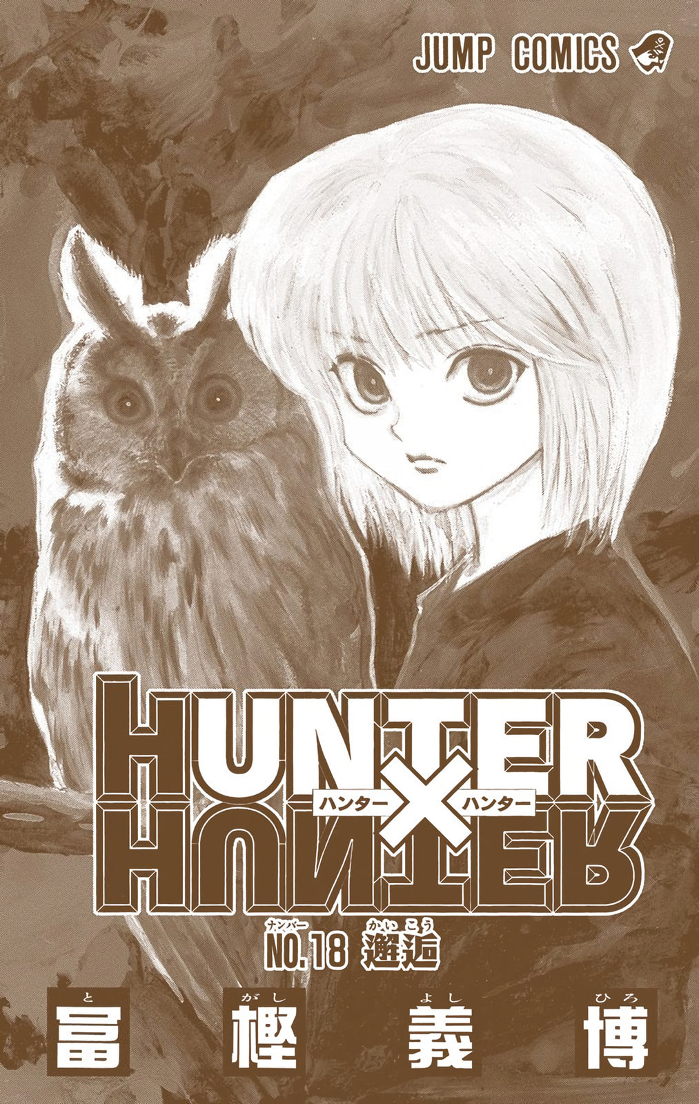 Hunter x Hunter Colored Manga