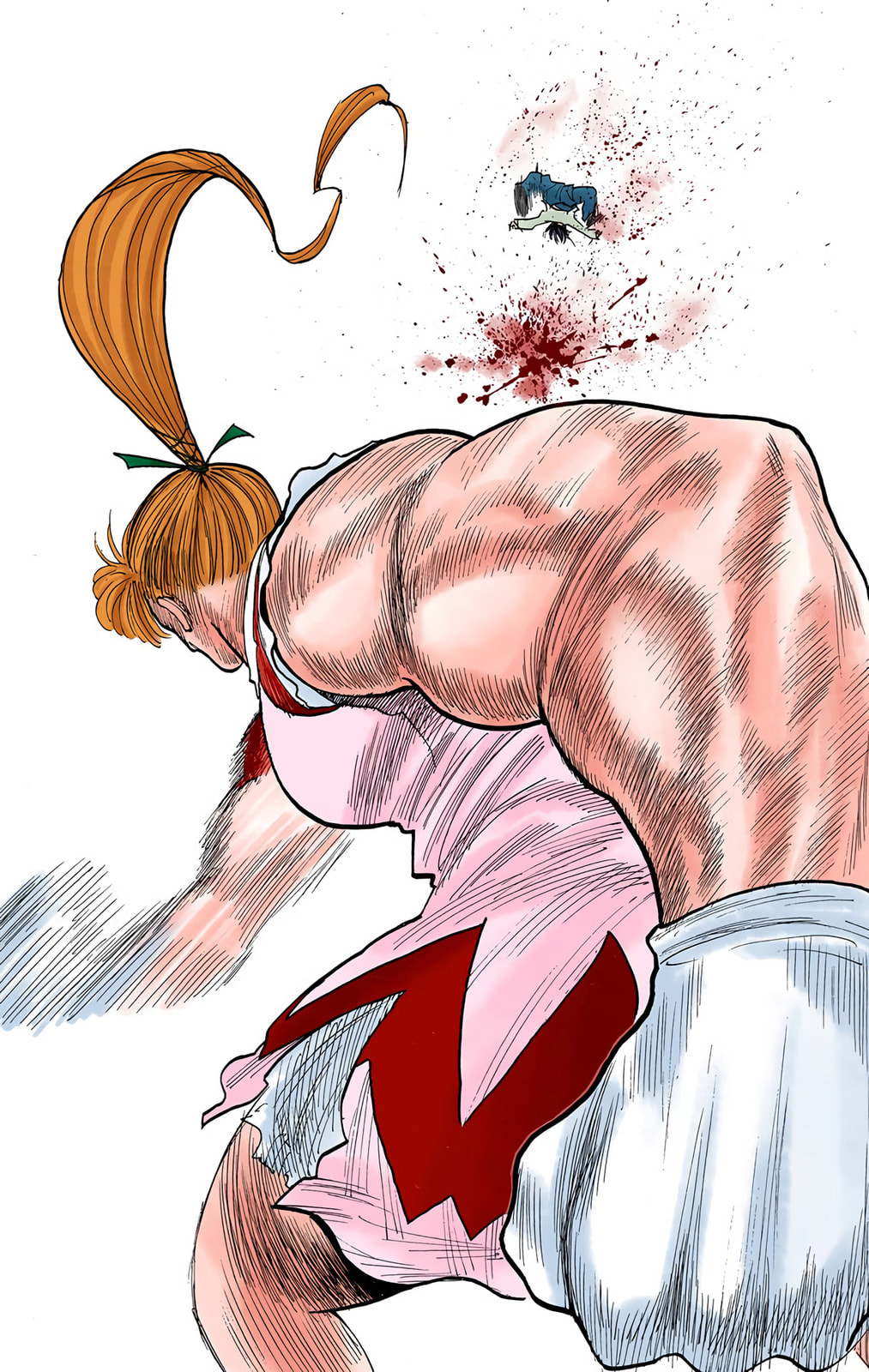 Hunter x Hunter Colored Manga