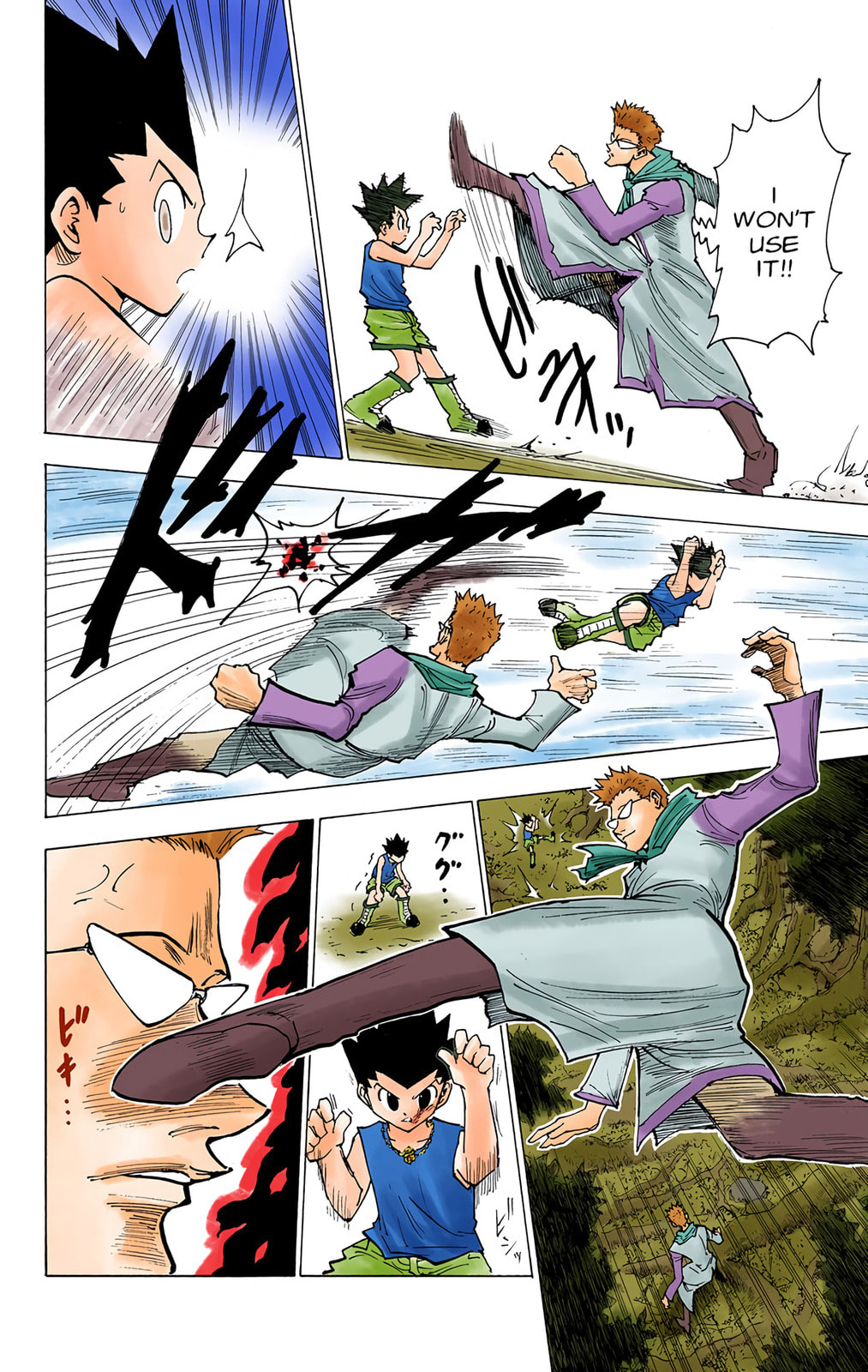 Hunter x Hunter Colored Manga