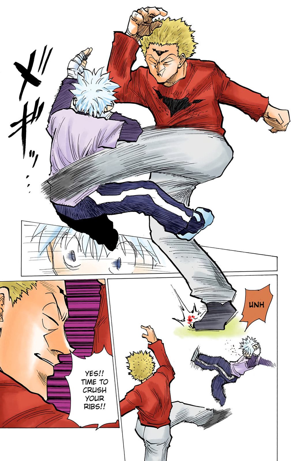 Hunter x Hunter Colored Manga