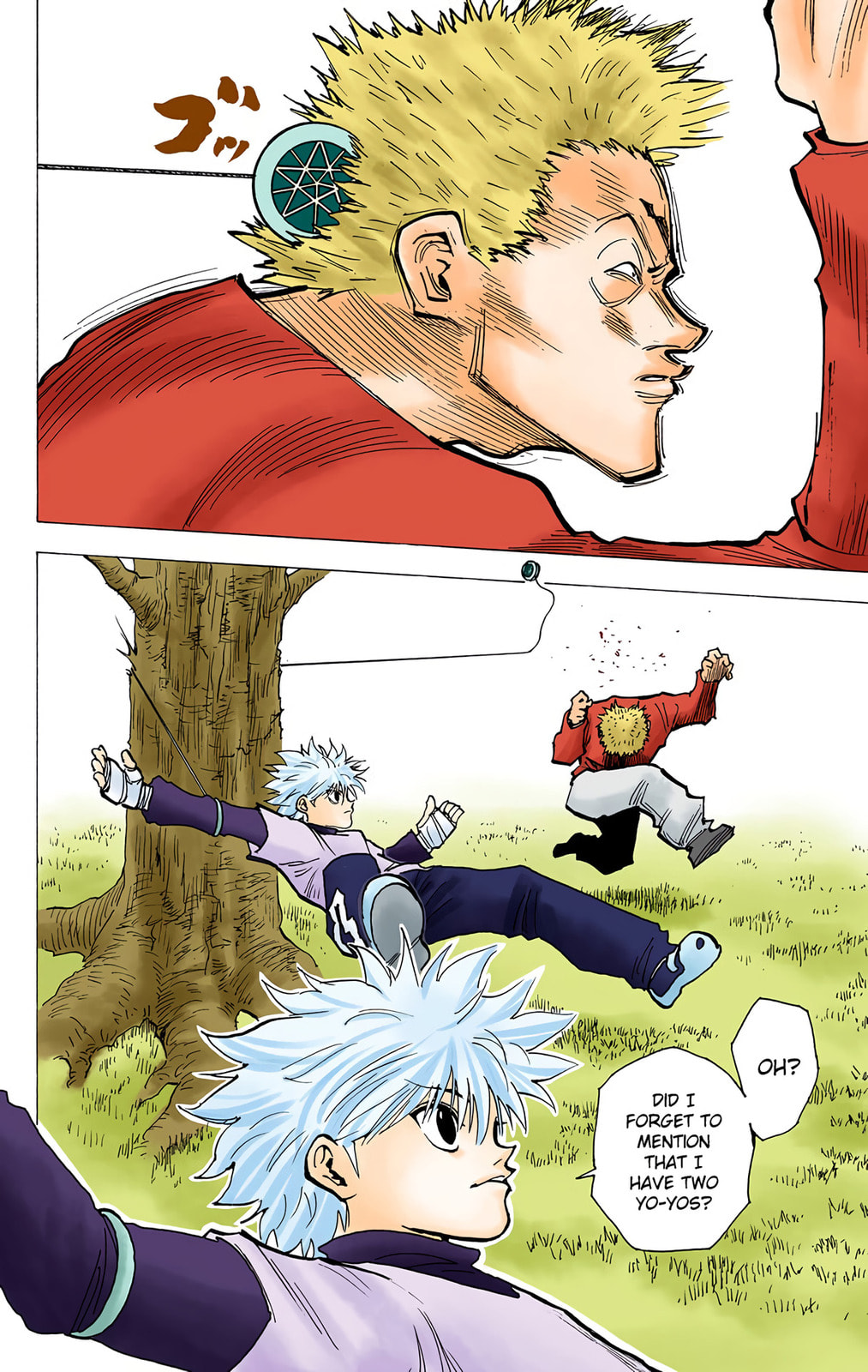 Hunter x Hunter Colored Manga