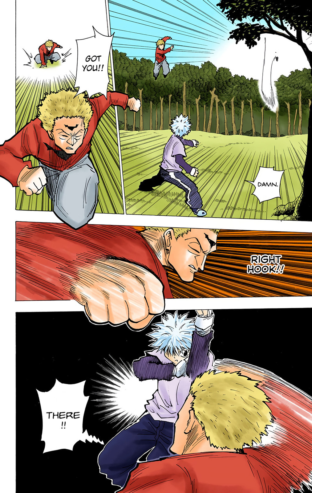 Hunter x Hunter Colored Manga