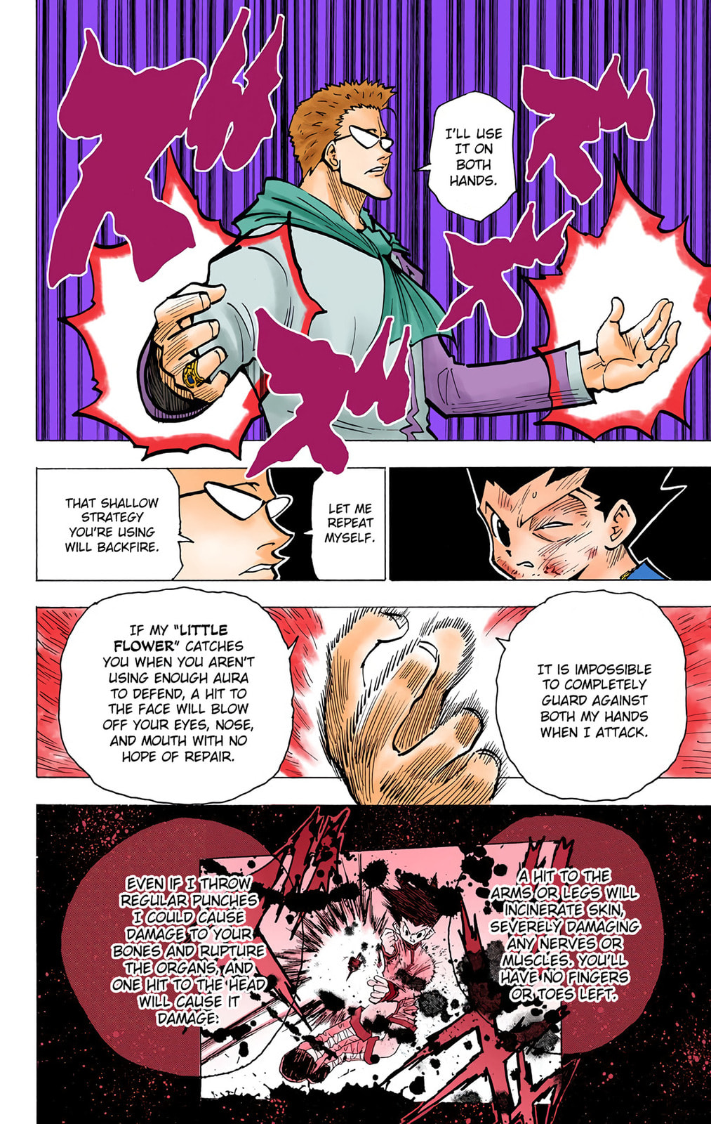 Hunter x Hunter Colored Manga