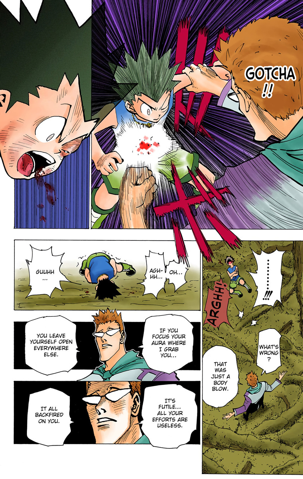 Hunter x Hunter Colored Manga