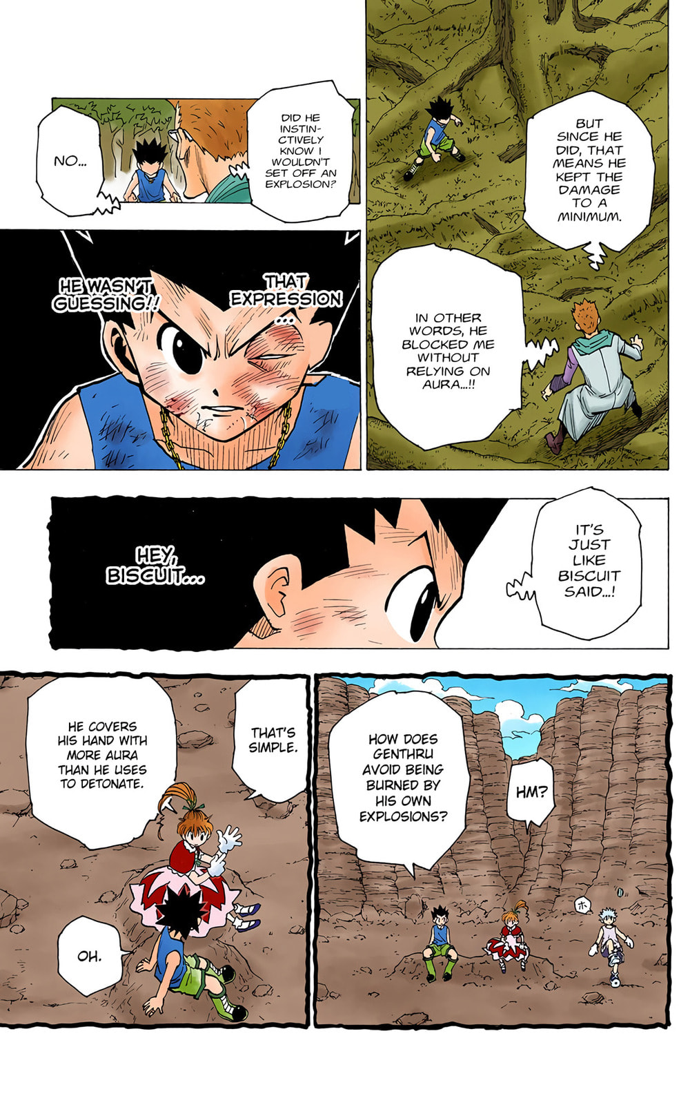 Hunter x Hunter Colored Manga
