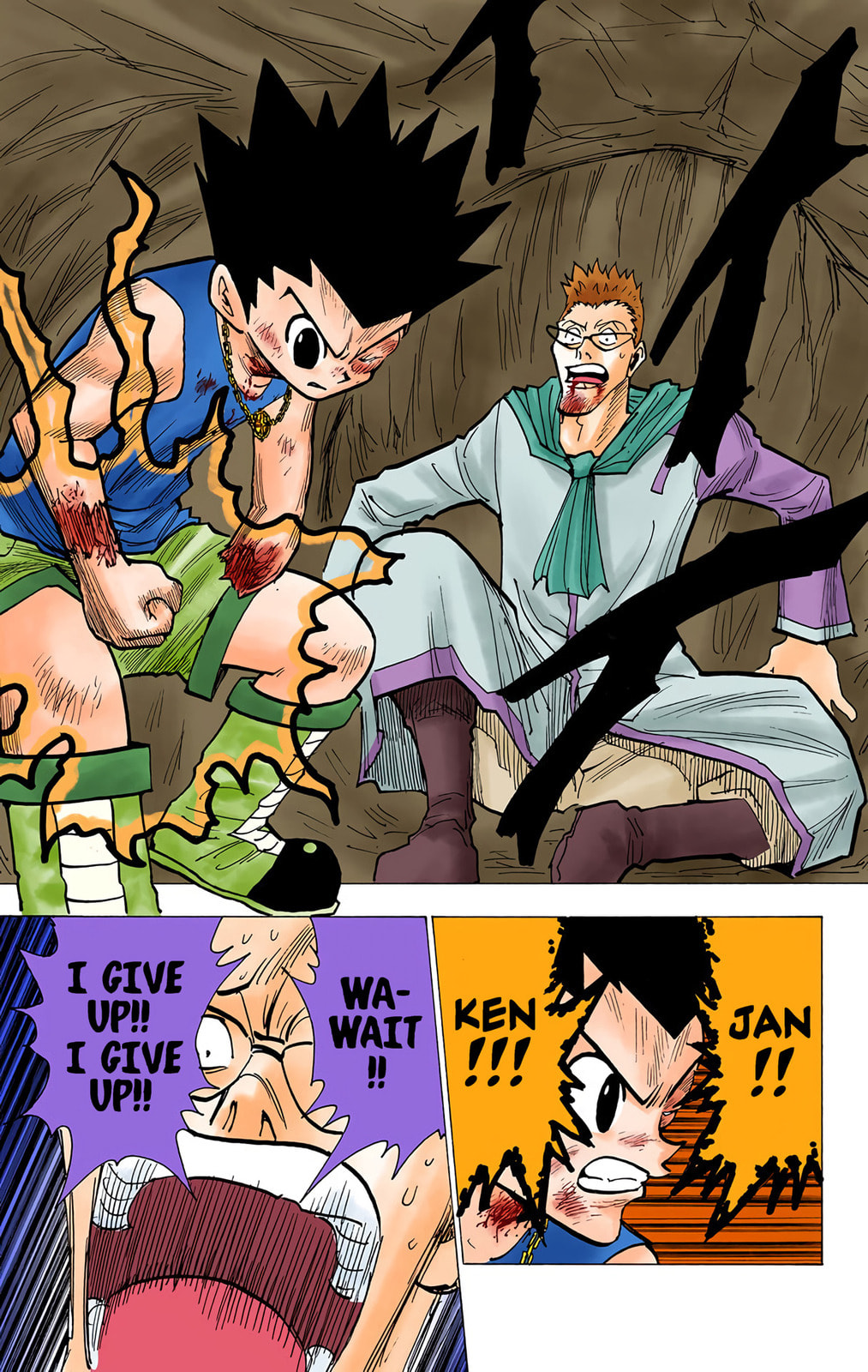 Hunter x Hunter Colored Manga