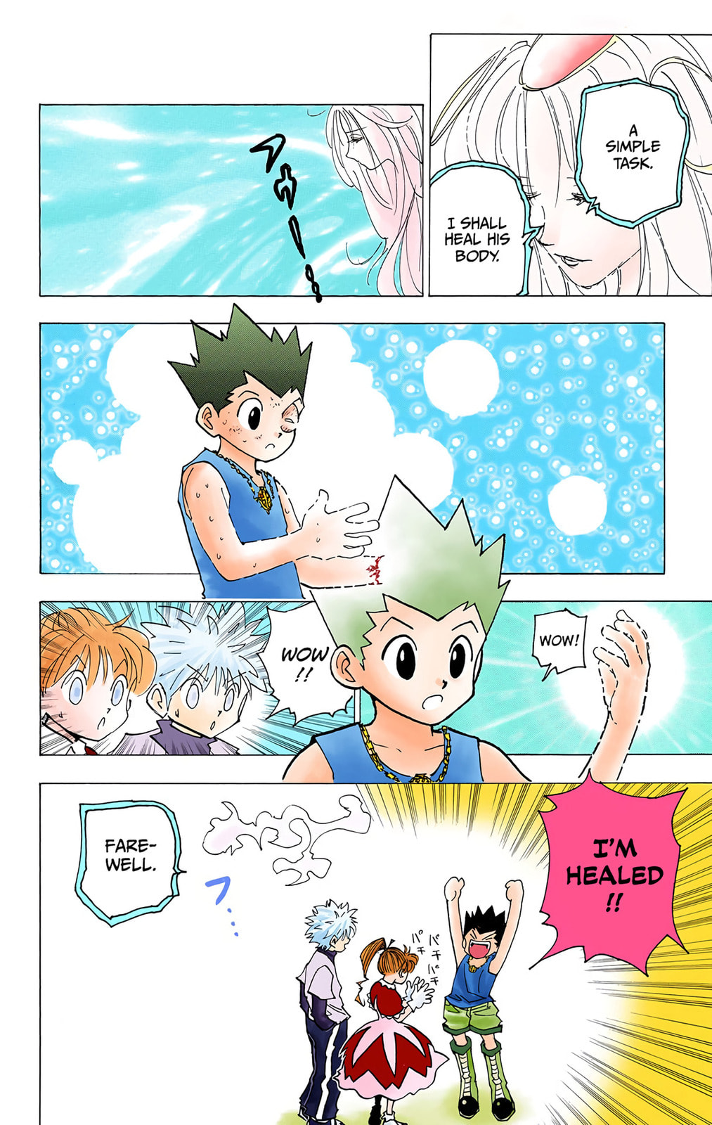 Hunter x Hunter Colored Manga