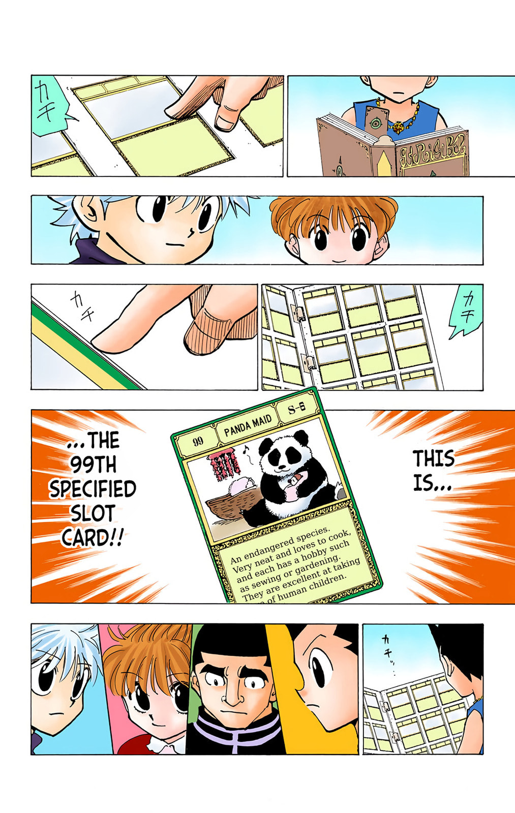 Hunter x Hunter Colored Manga