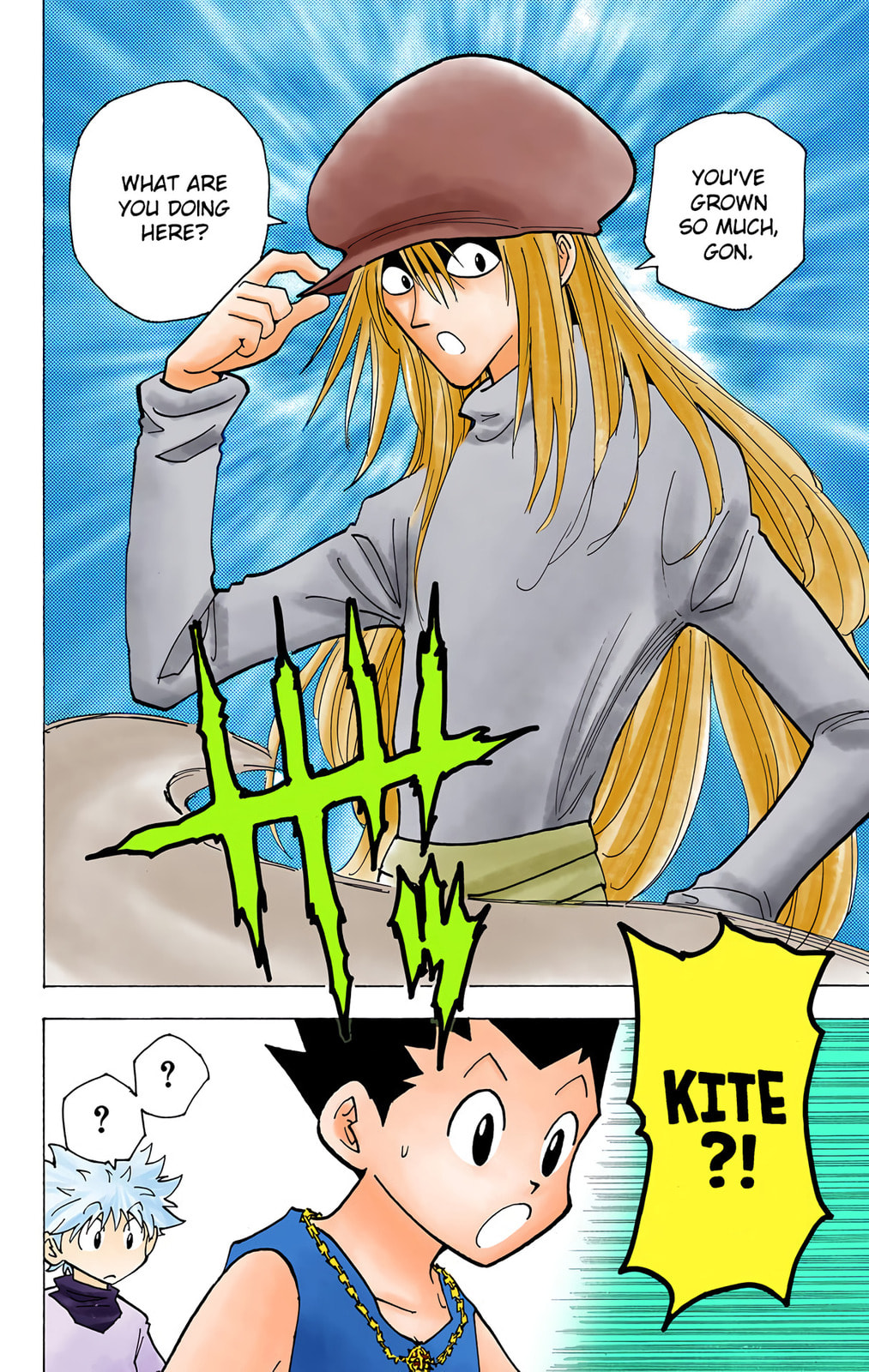 Hunter x Hunter Colored Manga