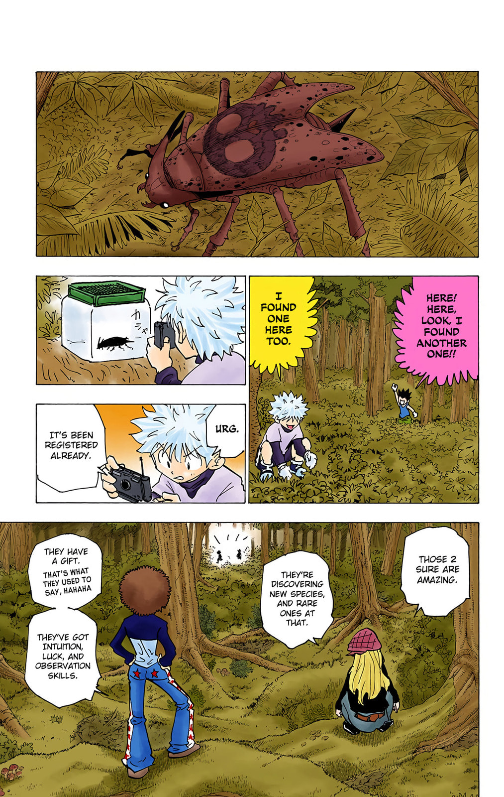 Hunter x Hunter Colored Manga
