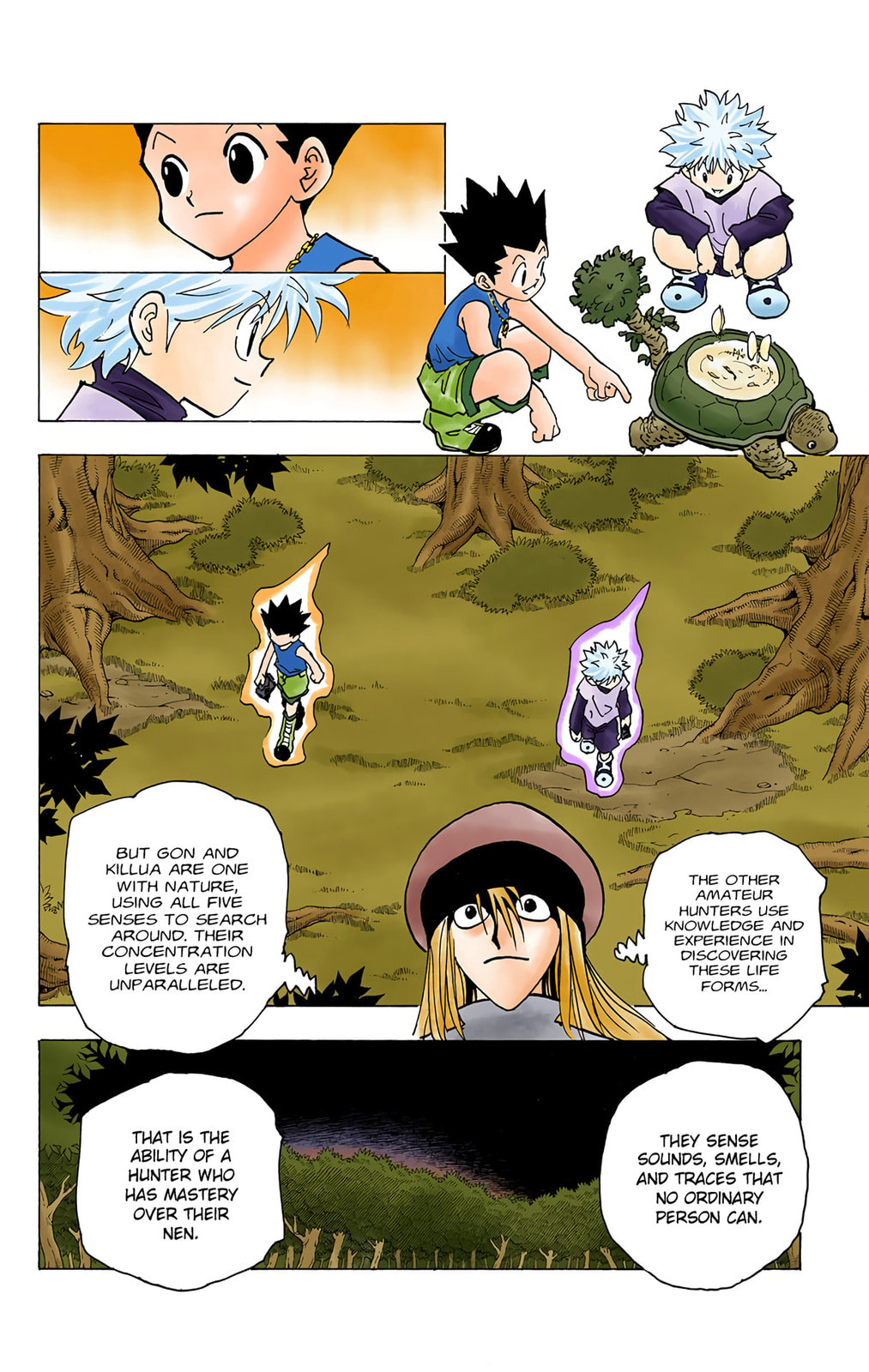 Hunter x Hunter Colored Manga
