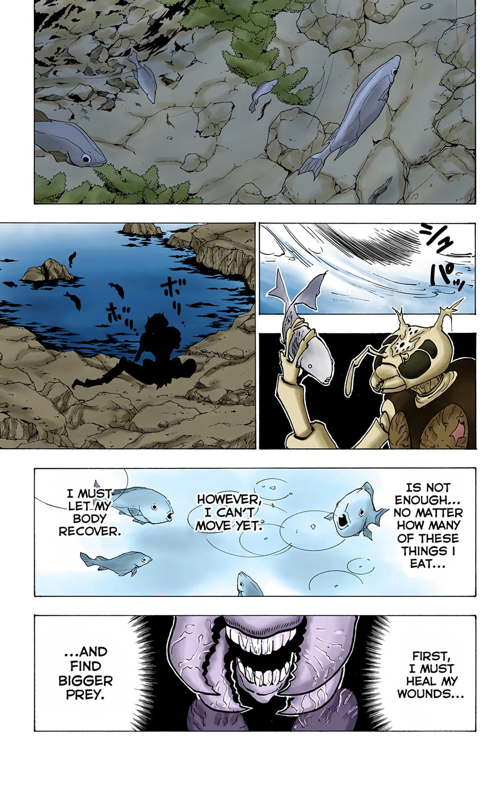 Hunter x Hunter Colored Manga