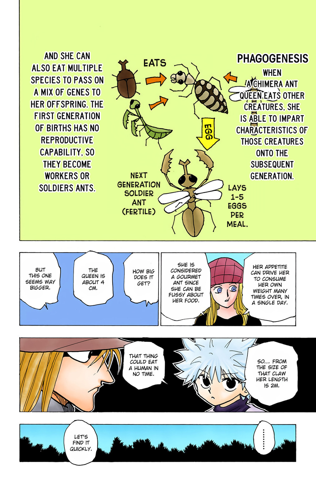 Hunter x Hunter Colored Manga