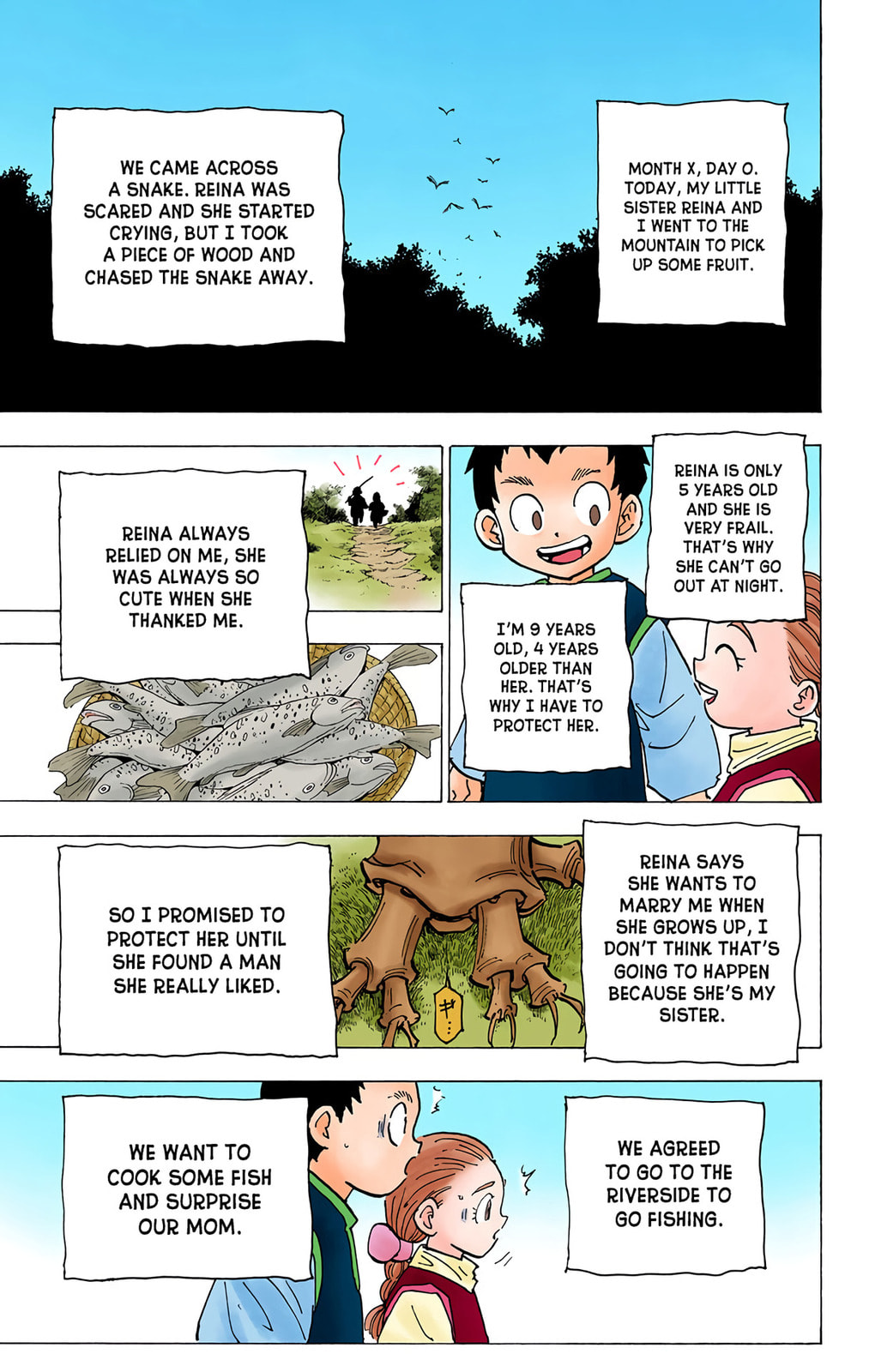 Hunter x Hunter Colored Manga