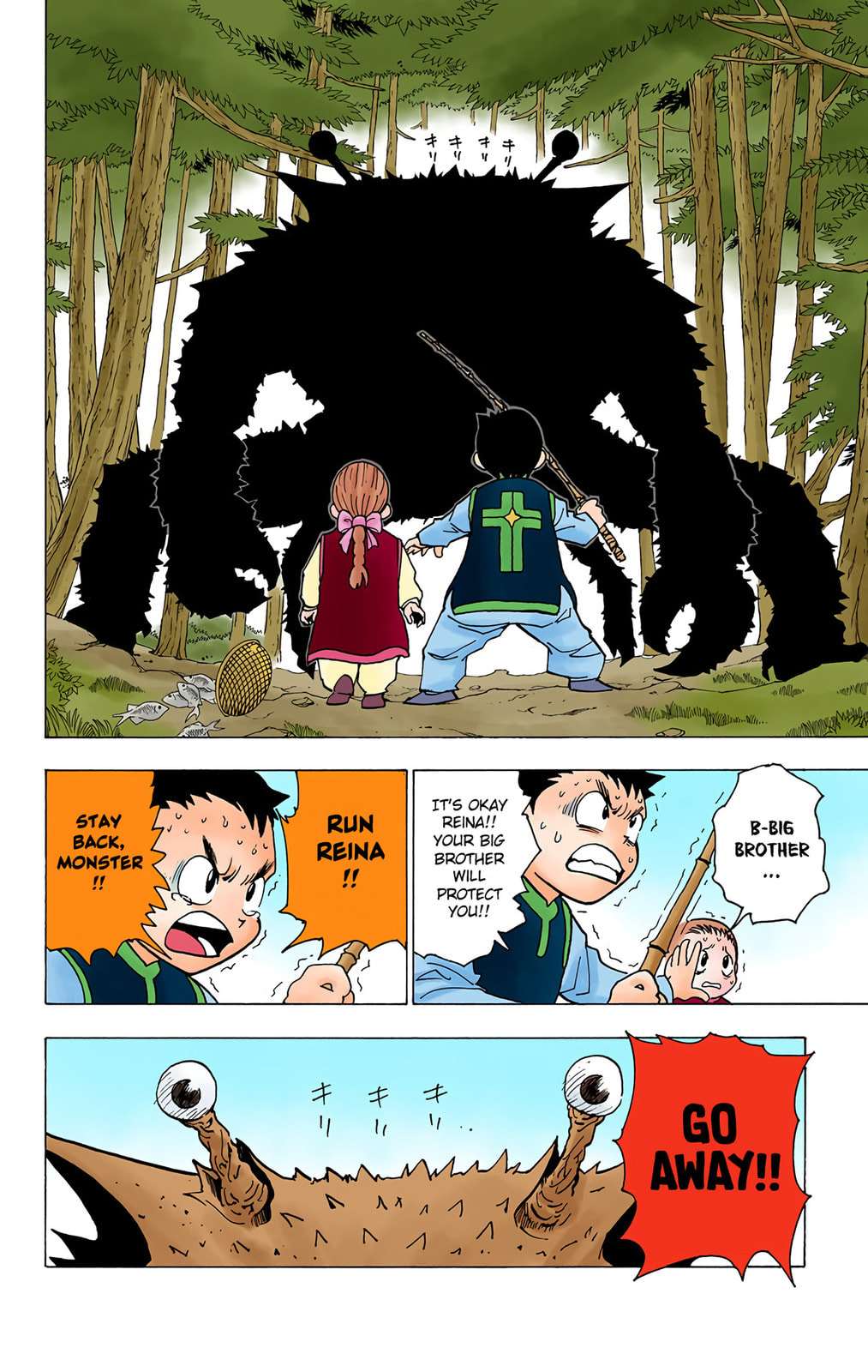 Hunter x Hunter Colored Manga
