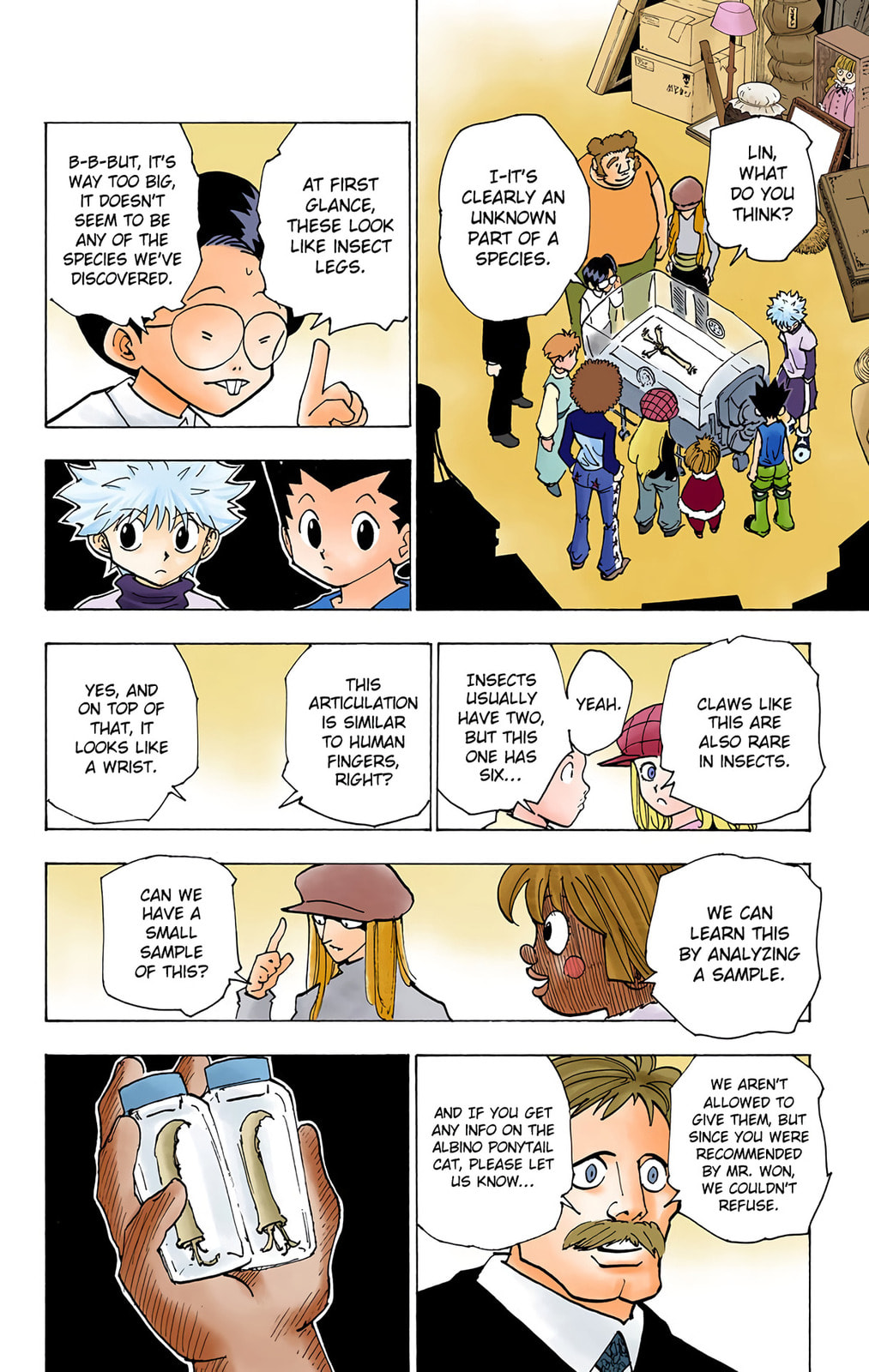 Hunter x Hunter Colored Manga