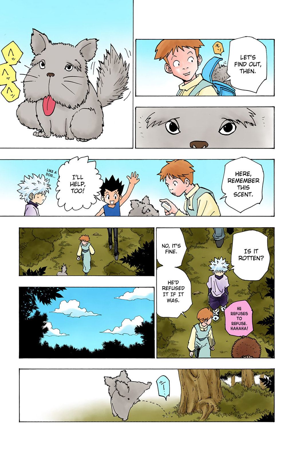 Hunter x Hunter Colored Manga