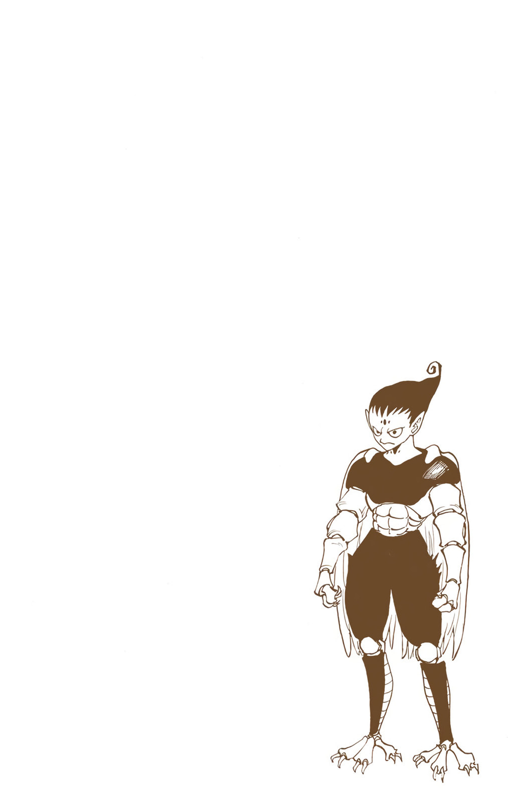 Hunter x Hunter Colored Manga