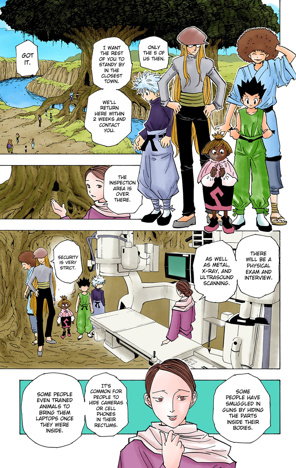 Hunter x Hunter Colored Manga
