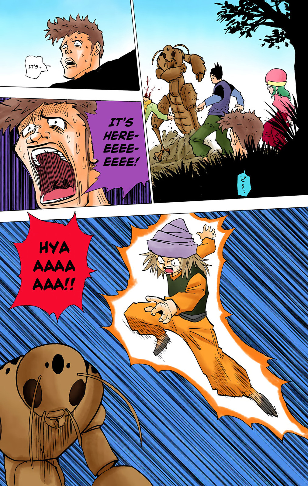 Hunter x Hunter Colored Manga