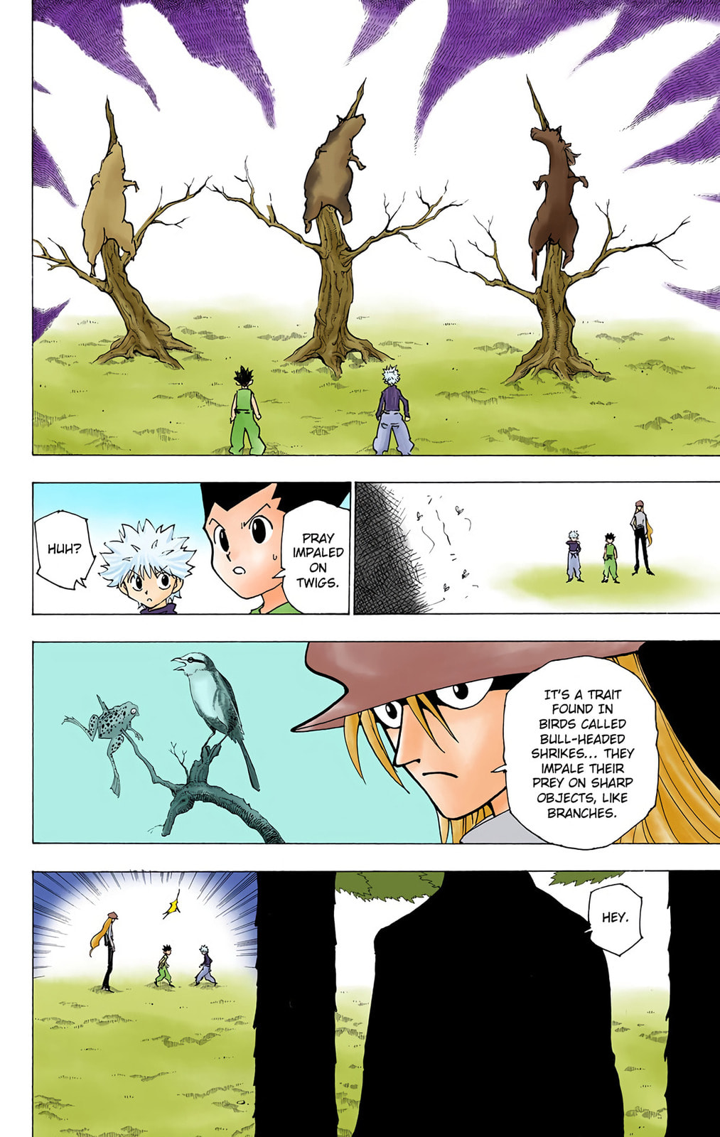 Hunter x Hunter Colored Manga