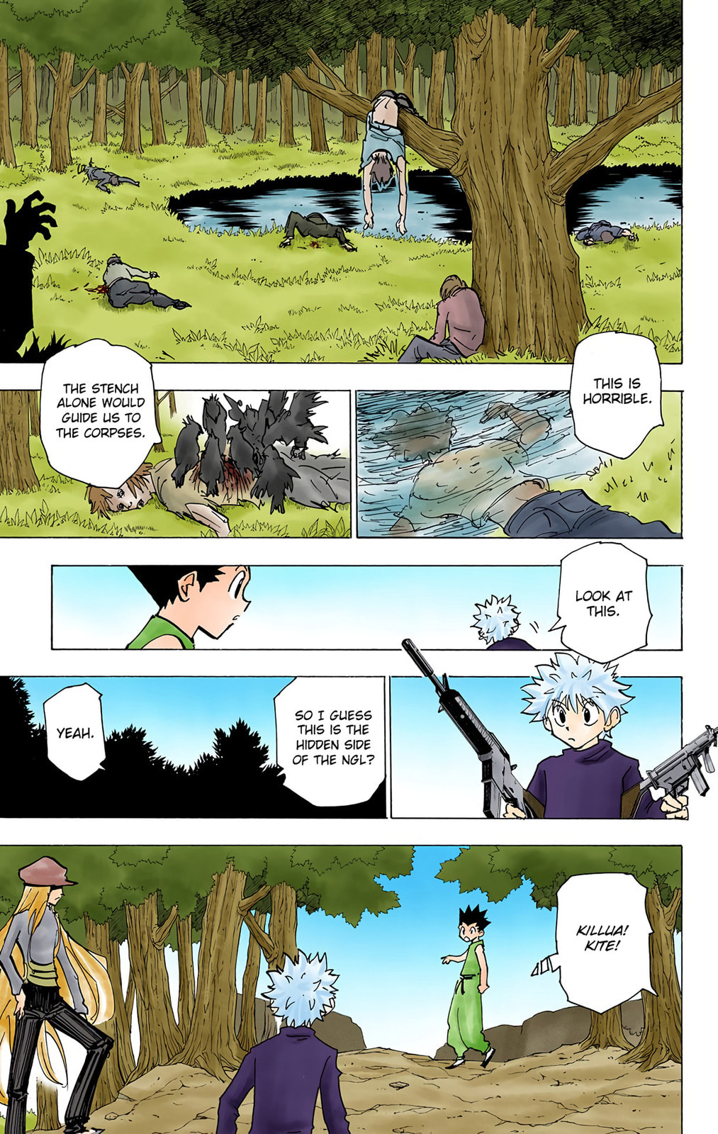 Hunter x Hunter Colored Manga