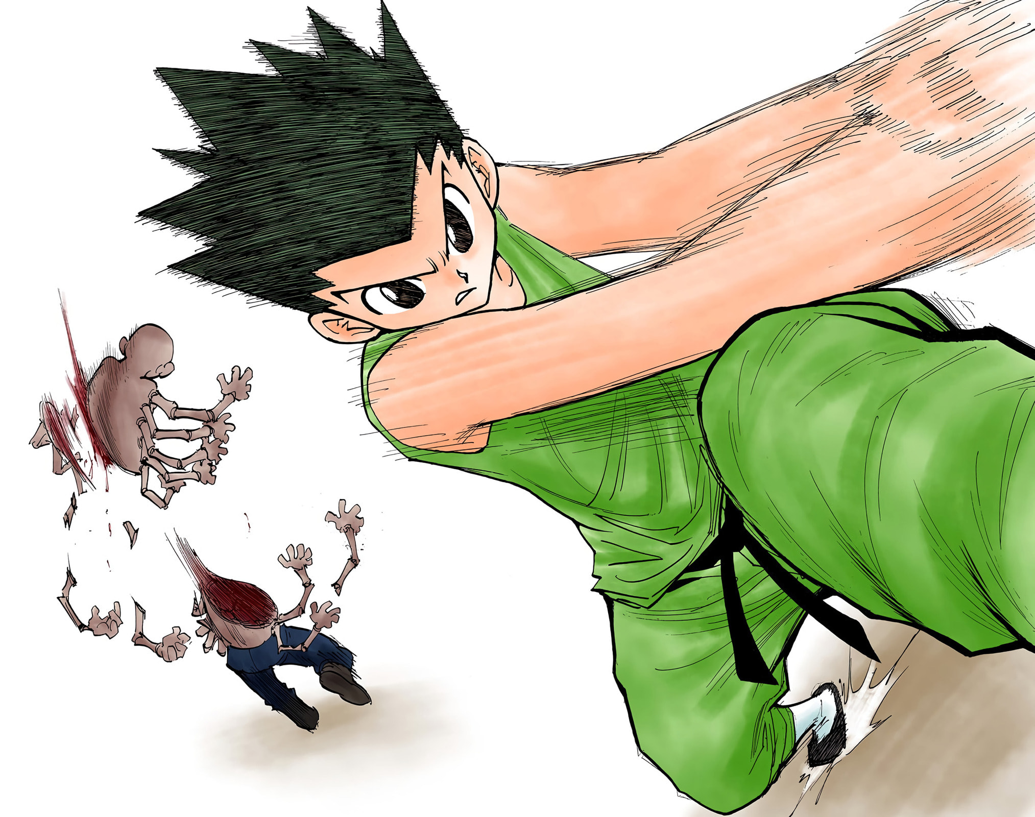 Hunter x Hunter Colored Manga