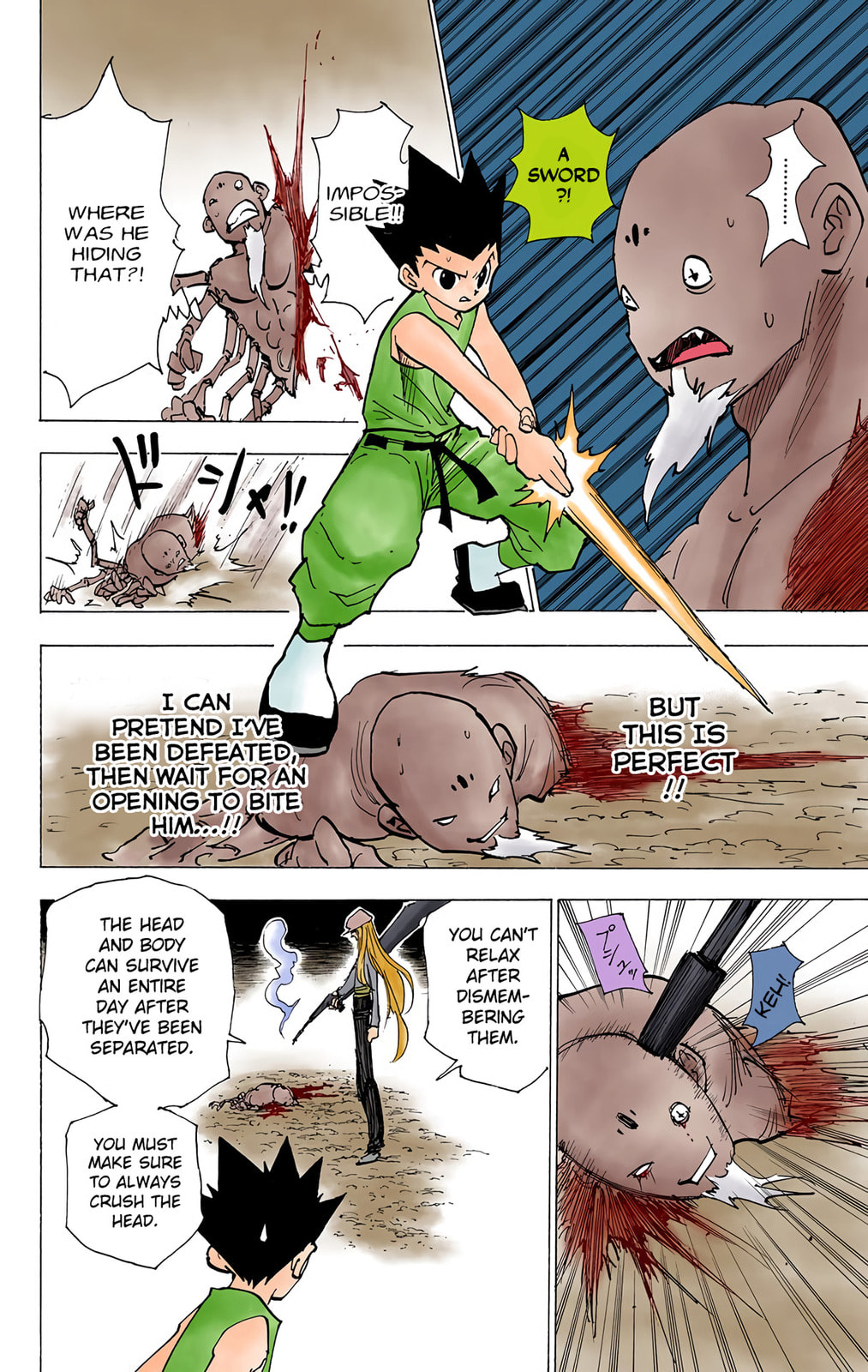 Hunter x Hunter Colored Manga