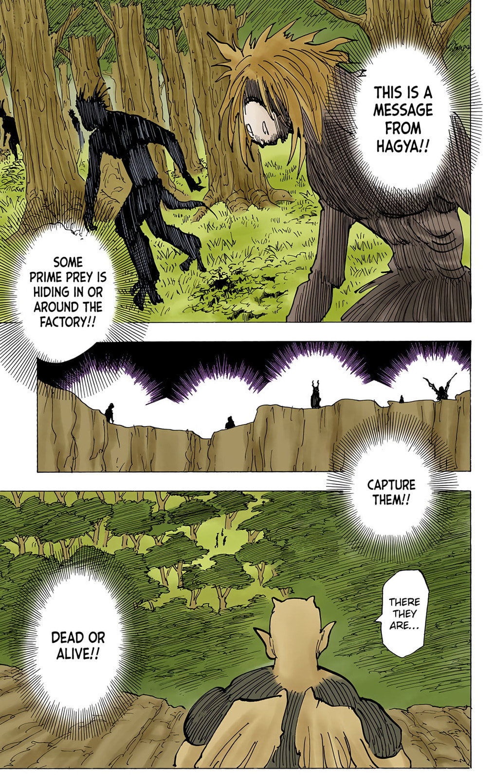 Hunter x Hunter Colored Manga