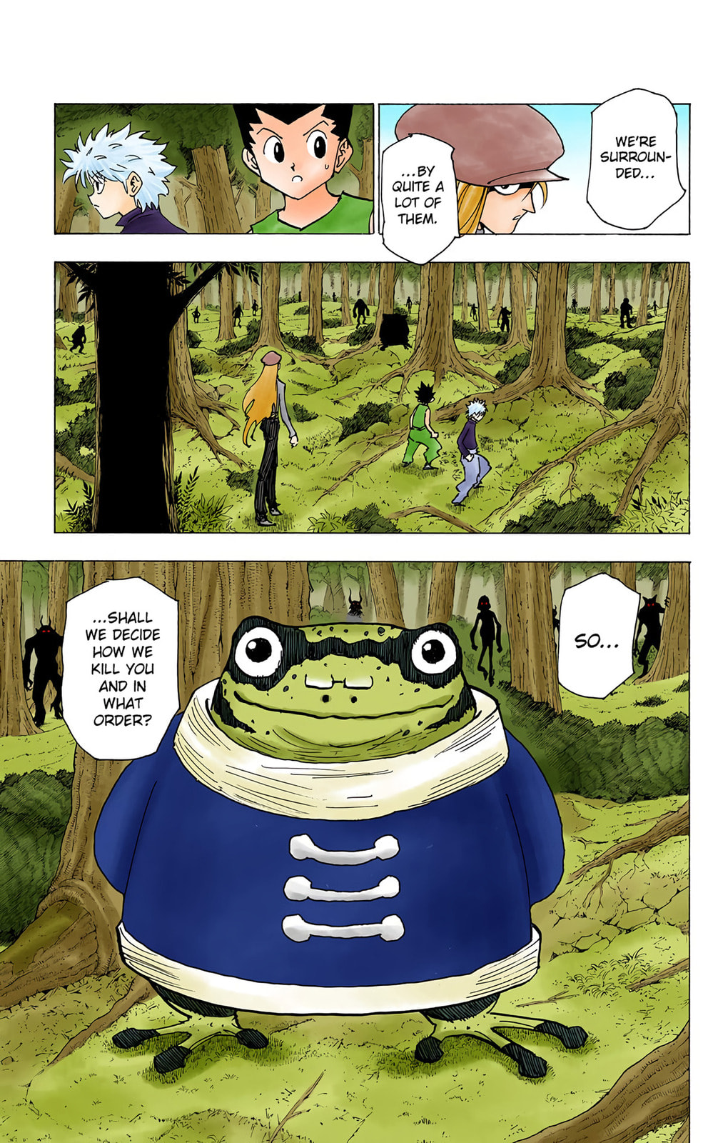 Hunter x Hunter Colored Manga