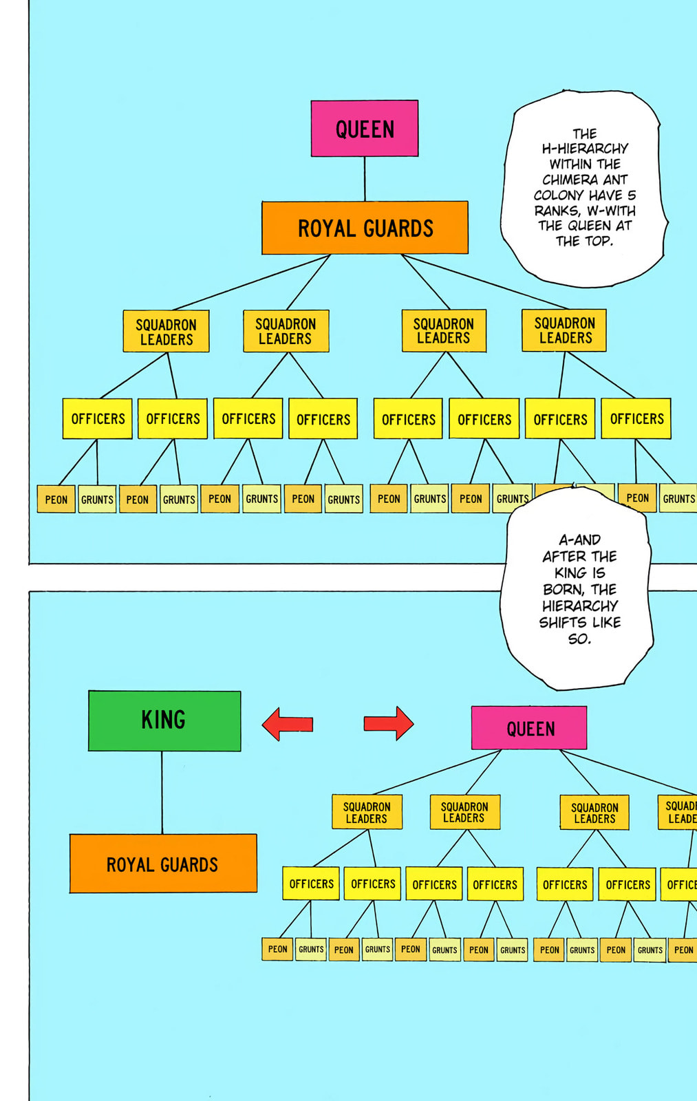 Hunter x Hunter Colored Manga