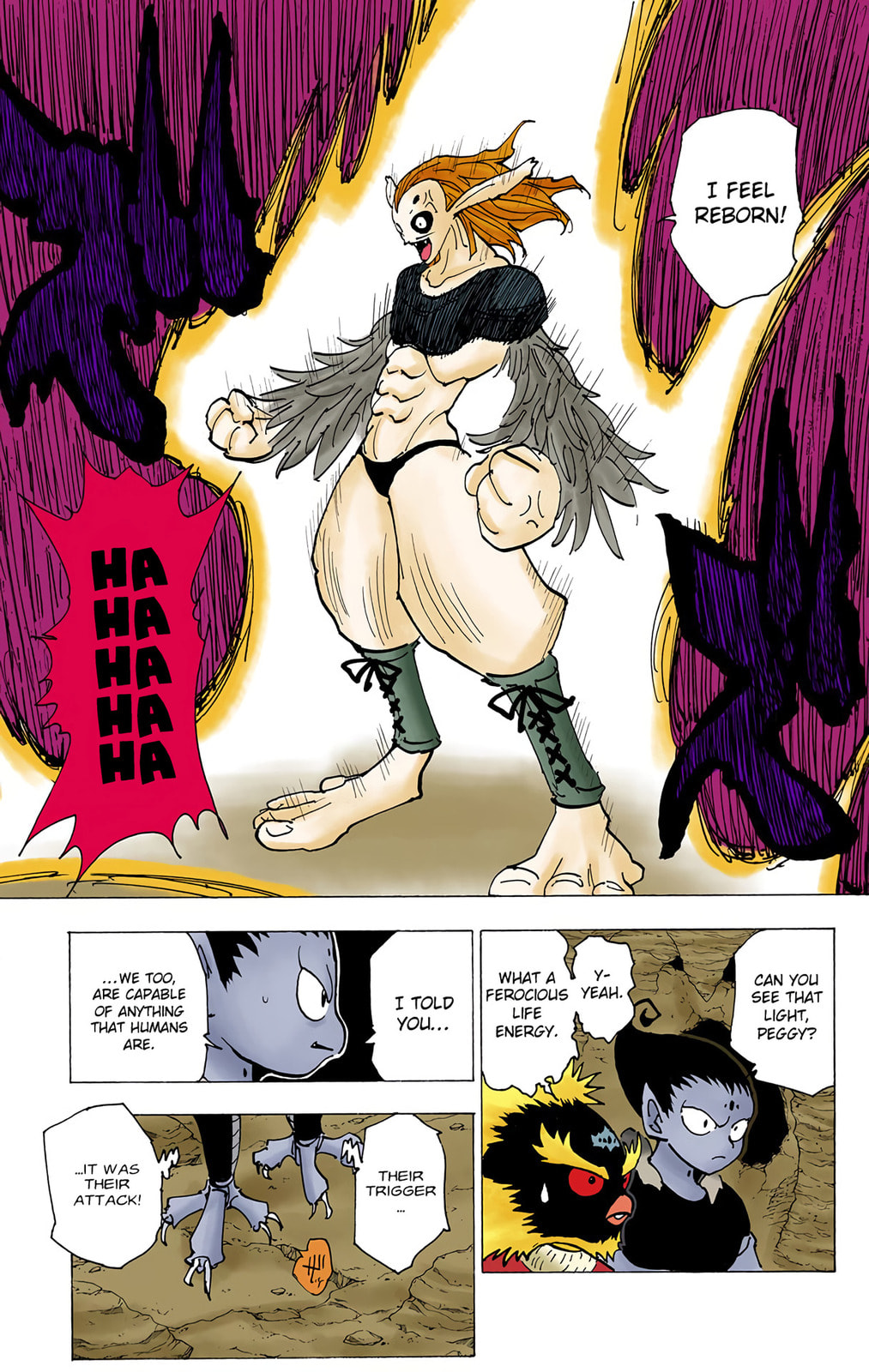 Hunter x Hunter Colored Manga