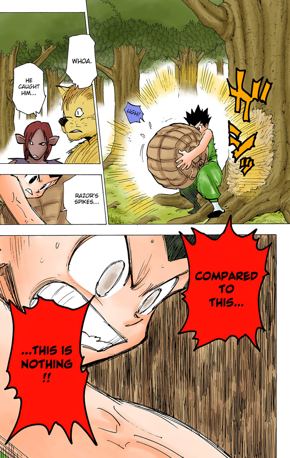 Hunter x Hunter Colored Manga