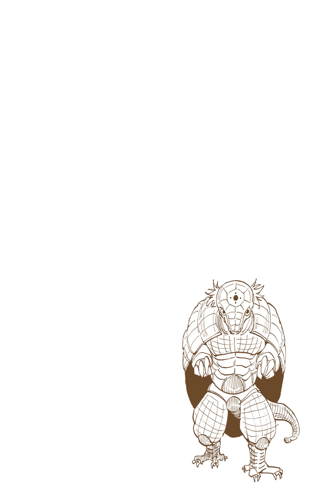 Hunter x Hunter Colored Manga