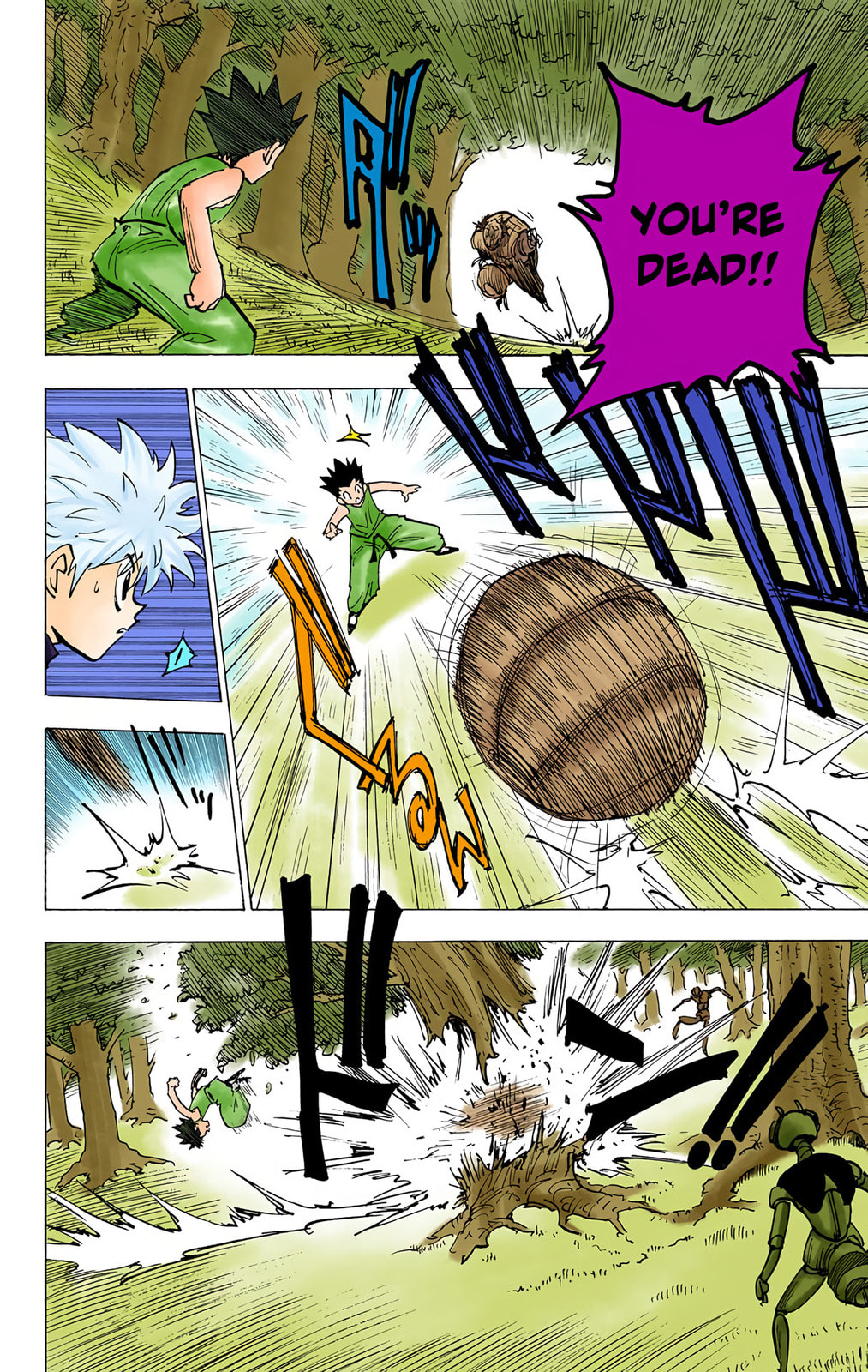Hunter x Hunter Colored Manga