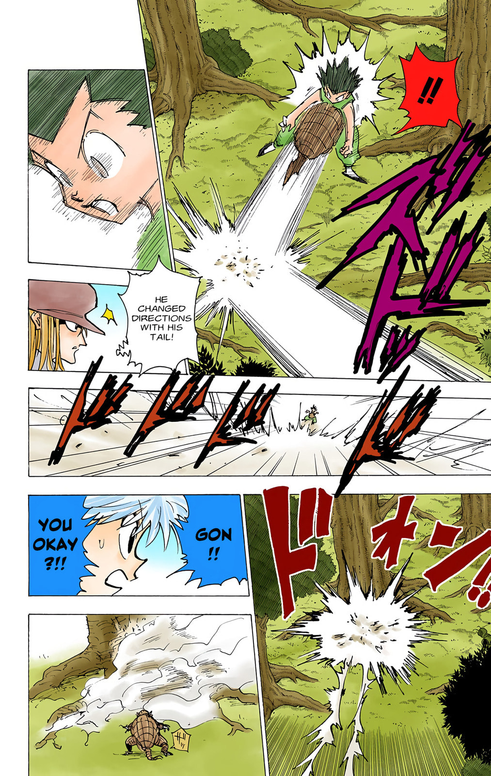 Hunter x Hunter Colored Manga