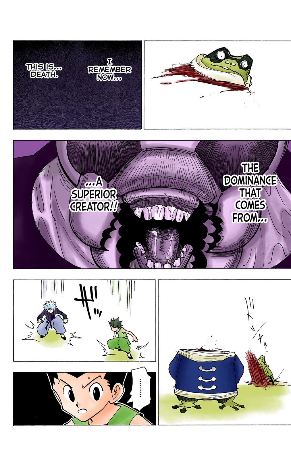 Hunter x Hunter Colored Manga