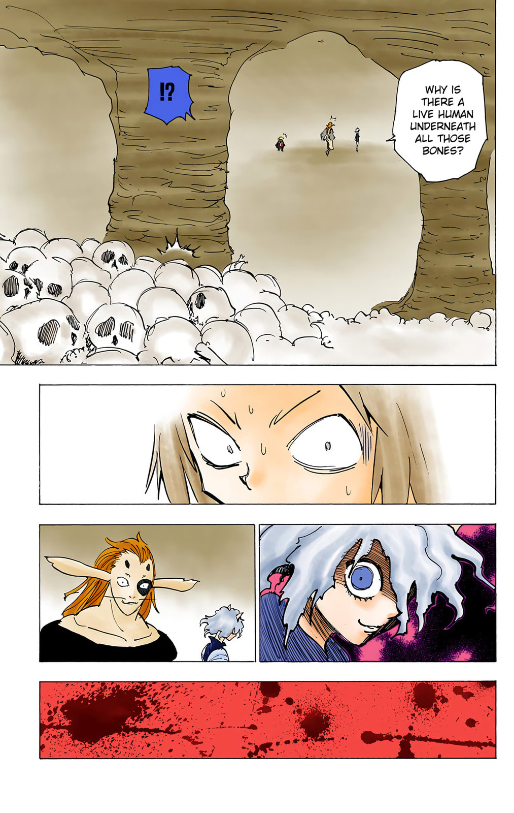 Hunter x Hunter Colored Manga