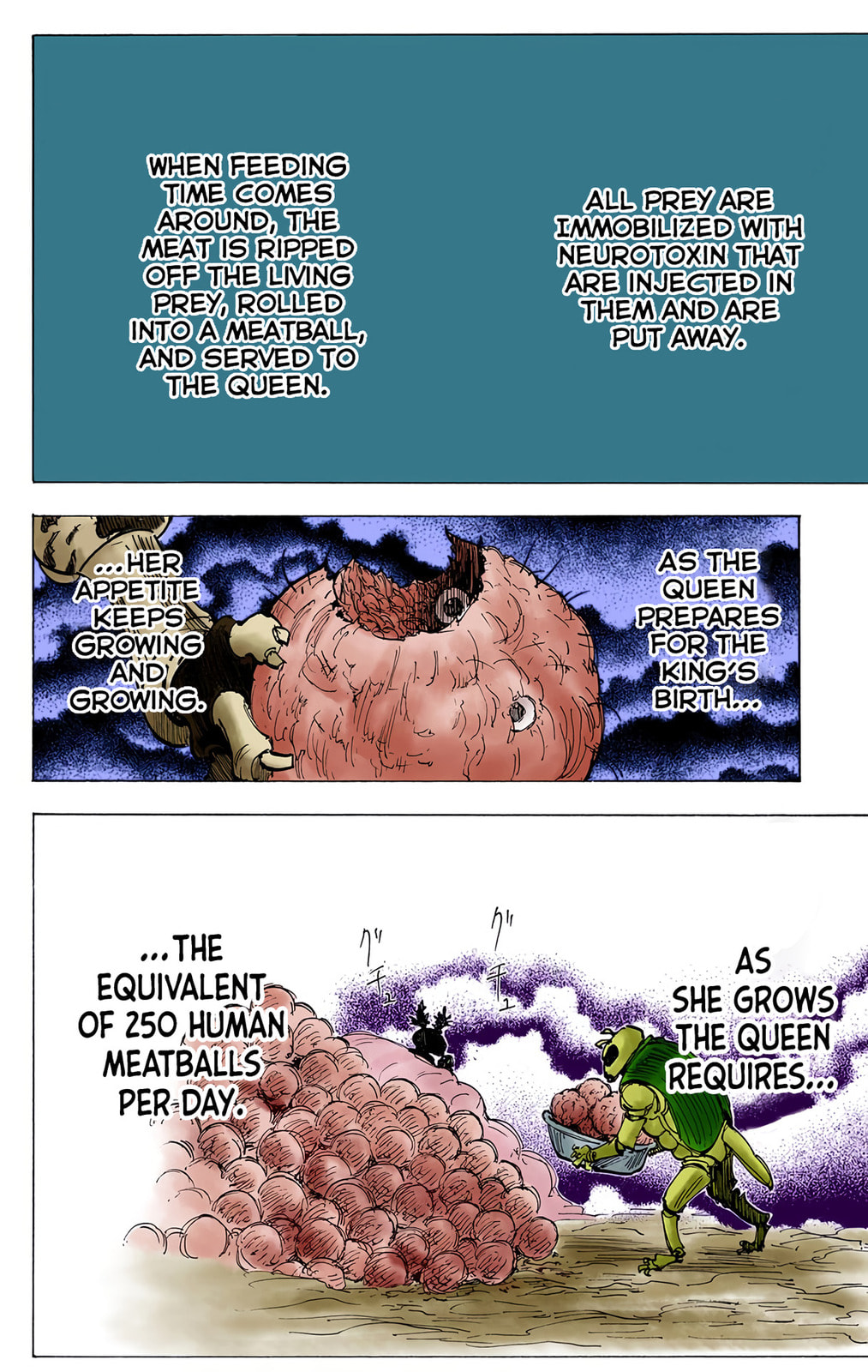 Hunter x Hunter Colored Manga