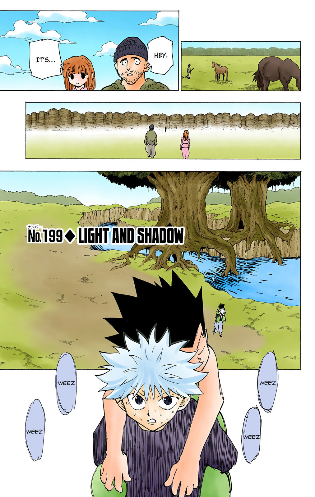 Hunter x Hunter Colored Manga